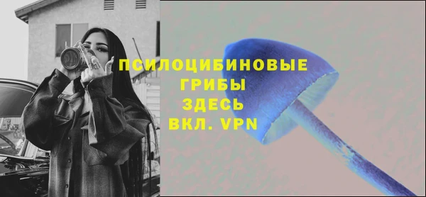 МДПВ Белокуриха
