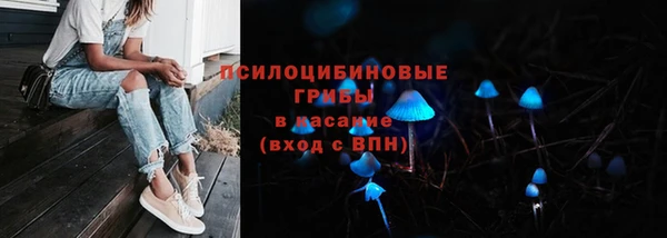 ГАЛЛЮЦИНОГЕННЫЕ ГРИБЫ Белоозёрский