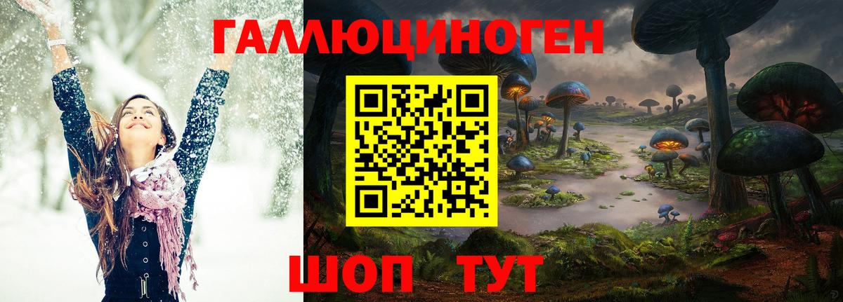 Псилоцибиновые грибы Psilocybine cubensis  Борисоглебск 