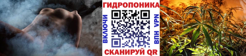 Бошки марихуана OG Kush  хочу   Борисоглебск 